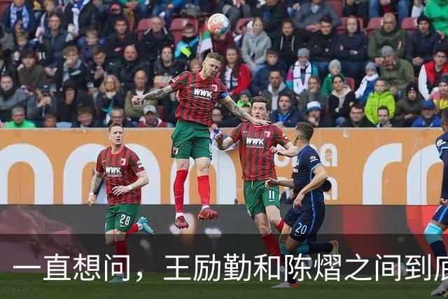 一直想问，王励勤和陈熠之间到底是什么关系？