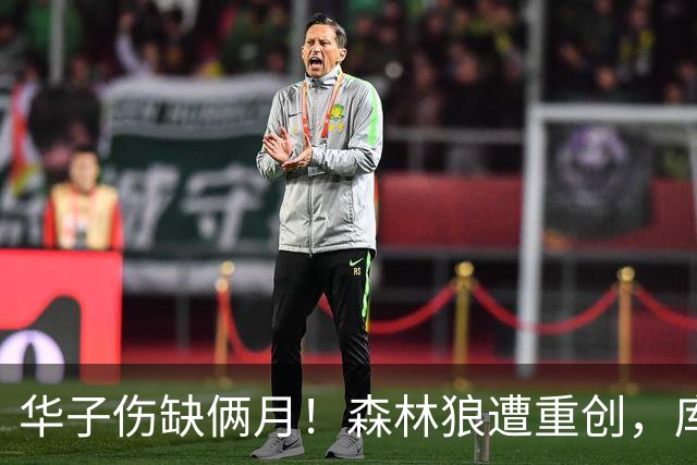 华子伤缺俩月！森林狼遭重创，库明加又要开始放开瞎抡了？