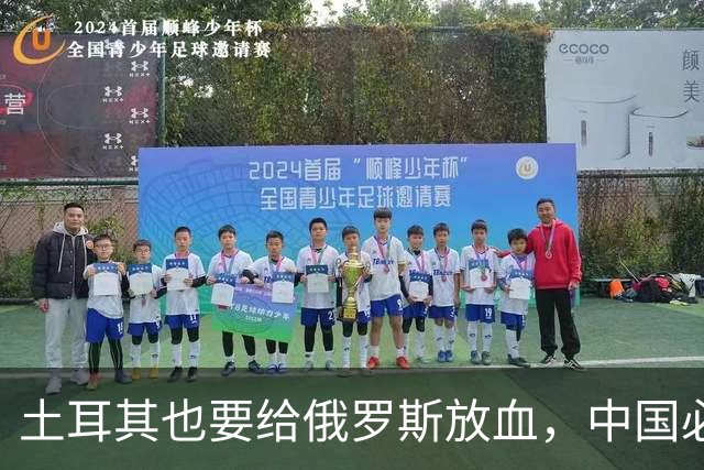土耳其也要给俄罗斯放血，中国必须吸取教训，台海一战绝不能久拖