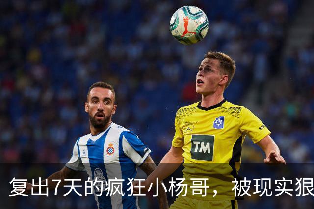 复出7天的疯狂小杨哥，被现实狠狠打了一巴掌