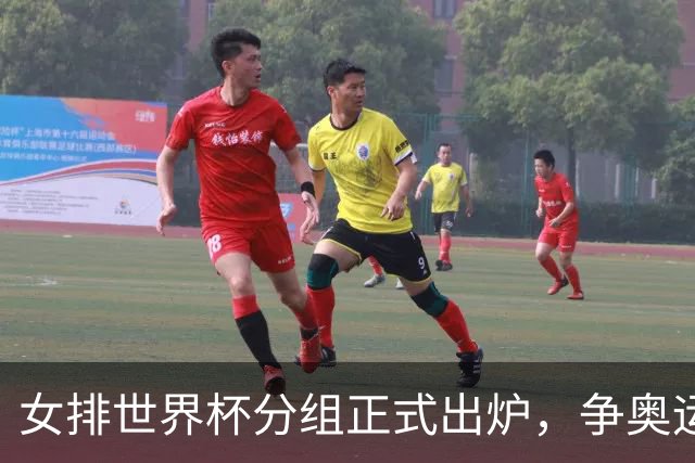 女排世界杯分组正式出炉，争奥运会门票，中国队1/4决赛战美国