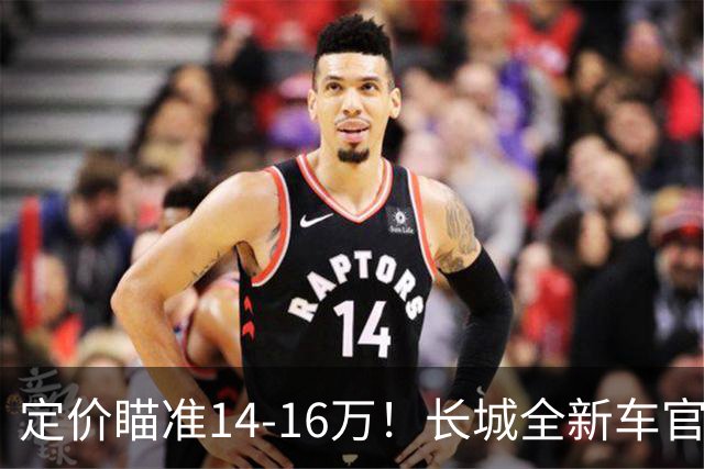 定价瞄准14-16万！长城全新车官宣，年内就能买到