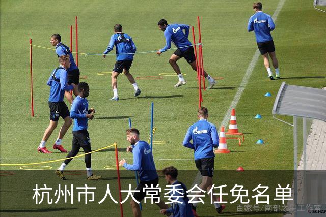 杭州市人大常委会任免名单