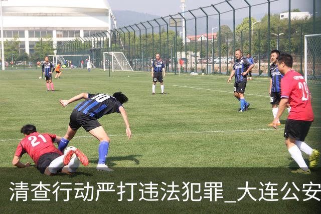 清查行动严打违法犯罪 大连公安公布5起典型案例