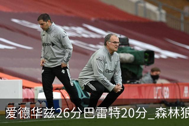 爱德华兹26分巴雷特20分 森林狼大胜猛龙