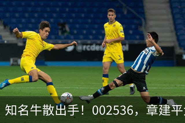 知名牛散出手！002536，章建平大举买入