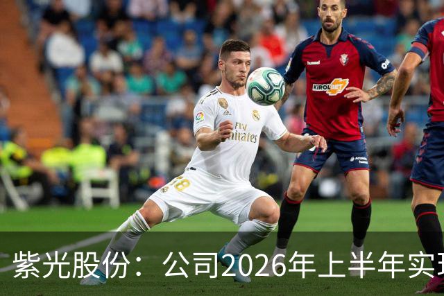 紫光股份：公司2026年上半年实现营业收入635.16亿，同比增长33.93%