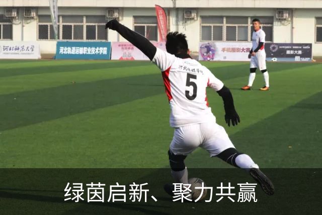 绿茵启新、聚力共赢