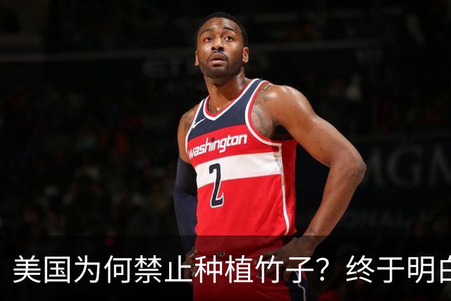 美国为何禁止种植竹子？终于明白，原来竹子比我们想象的更可怕