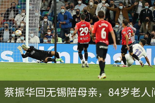 蔡振华回无锡陪母亲，84岁老人问：你是回来几天，还是不走了？