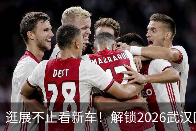 逛展不止看新车！解锁2026武汉国际车展的N种打开方式