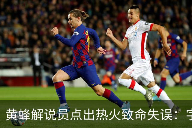 黄蜂解说员点出热火致命失误：字母哥下场时势头正好